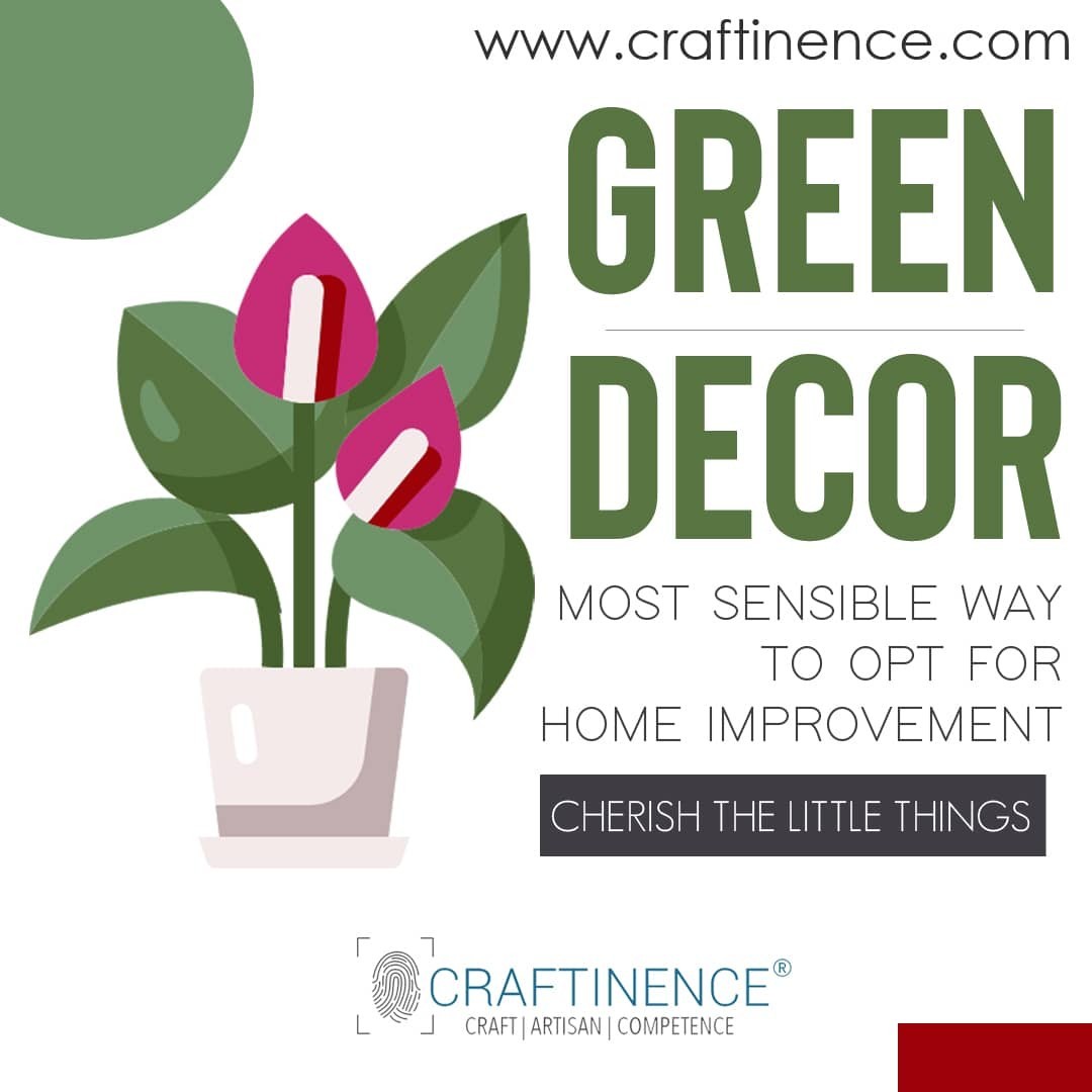 50 Steps to Go Plastic-Free in India: Sustainable Home Improvement Ideas